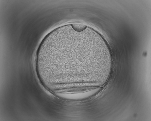 X0000116811519201001081344