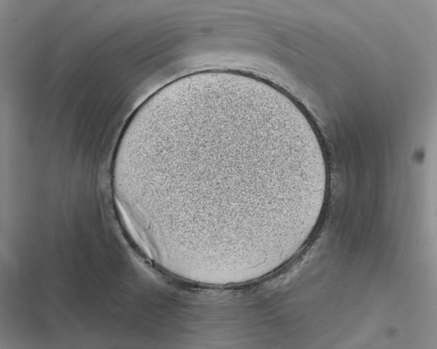 X0000116811521201001081344