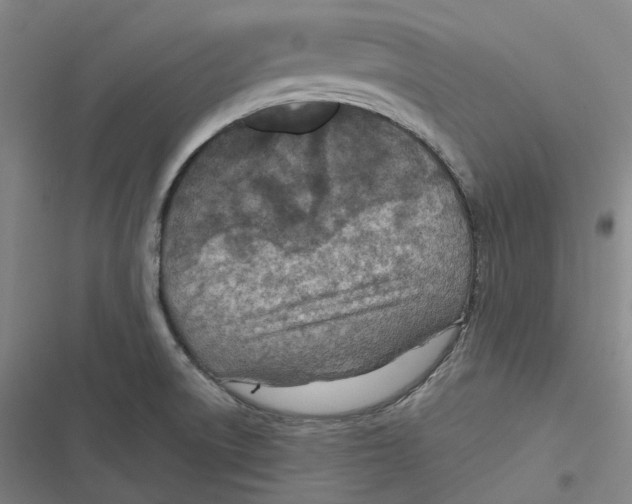 X0000116811522201001081345