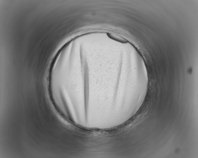 X0000116811523201001081345