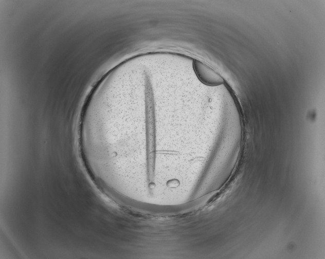 X0000116811525201001081345