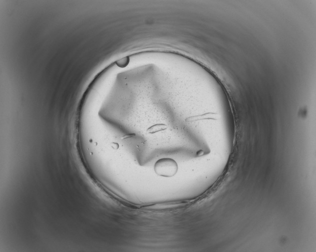 X0000116811526201001081345