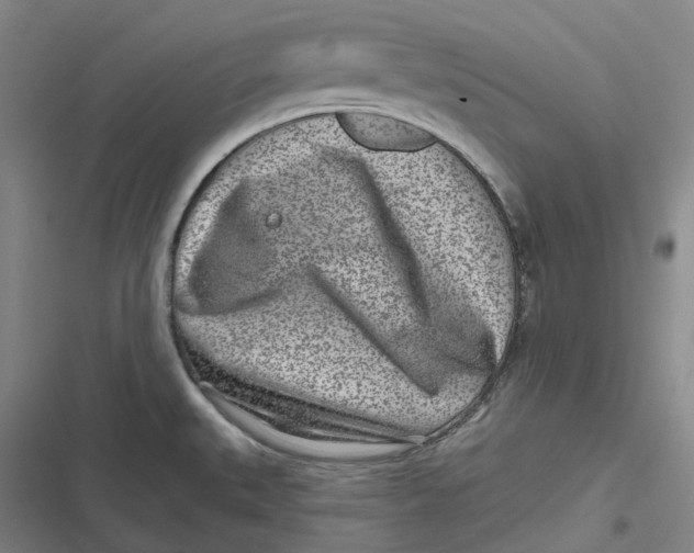 X0000116811527201001081345