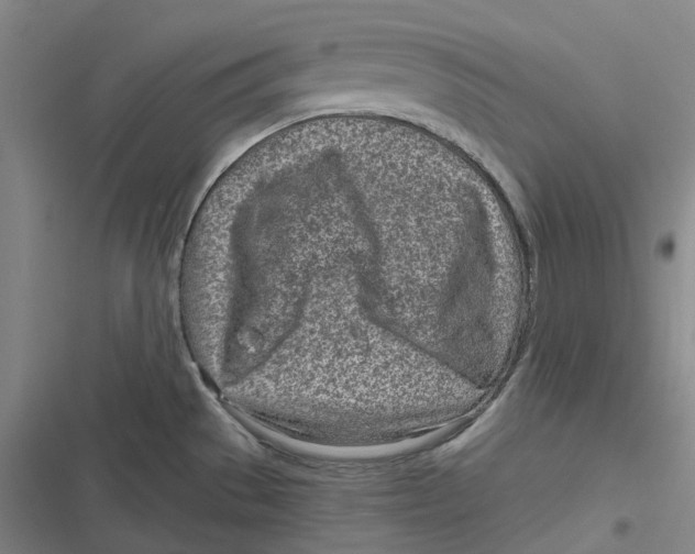 X0000116811529201001081345