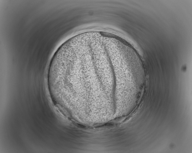 X0000116811530201001081345