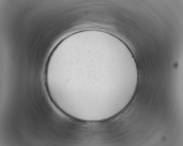 X0000116811531201001081345