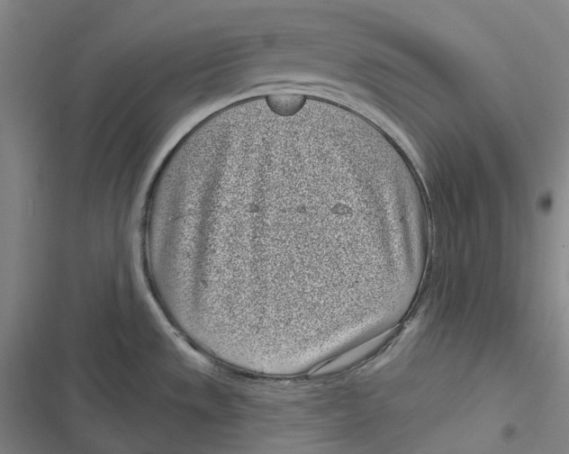 X0000116811533201001081345