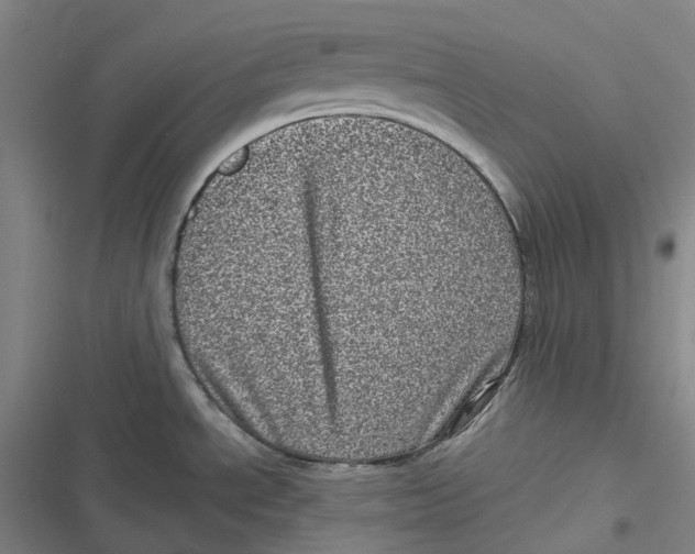 X0000116811534201001081345