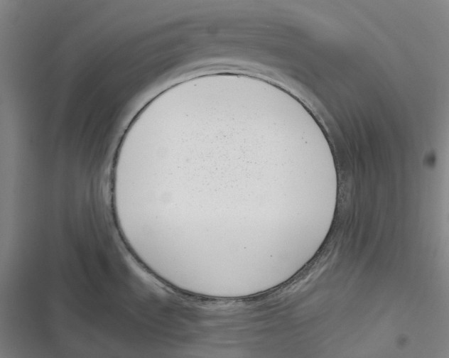 X0000116811535201001081345