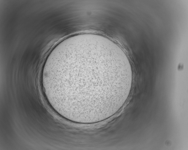 X0000116810001201001151153