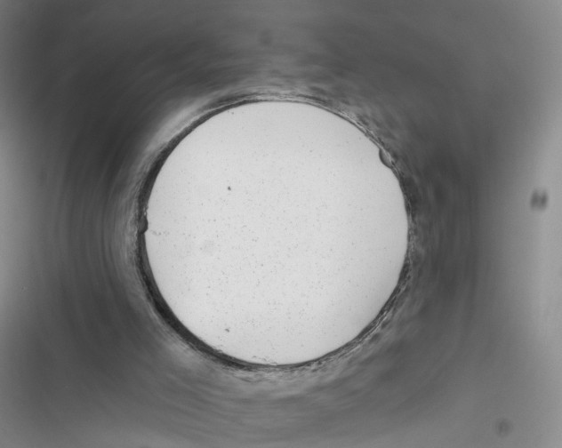 X0000116810005201001151153