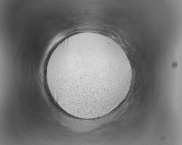 X0000116810006201001151153