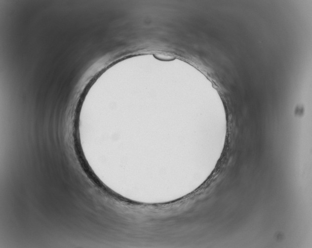 X0000116810007201001151153