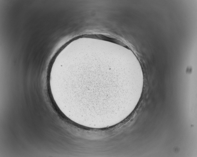 X0000116810008201001151153