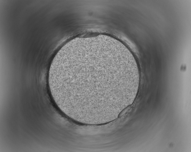 X0000116810009201001151153