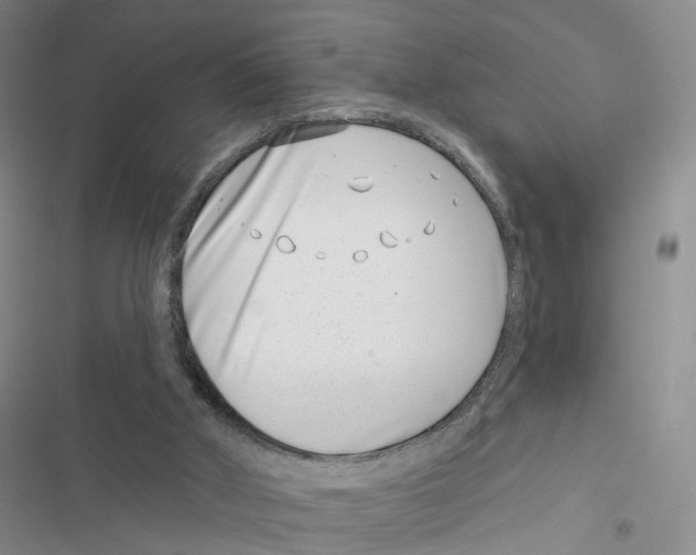 X0000116810010201001151153