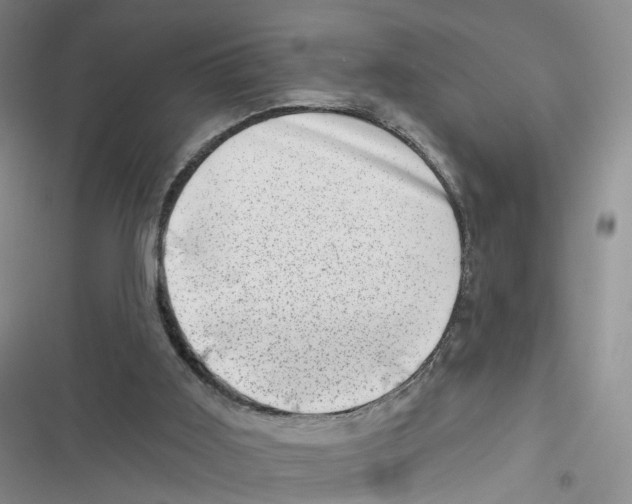 X0000116810011201001151153