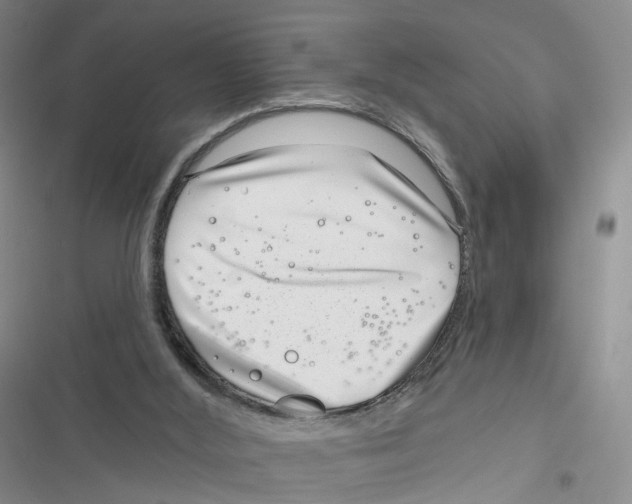 X0000116810012201001151153