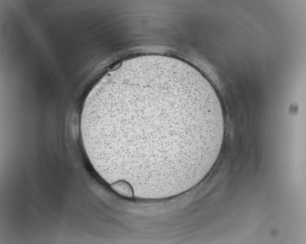 X0000116810013201001151153