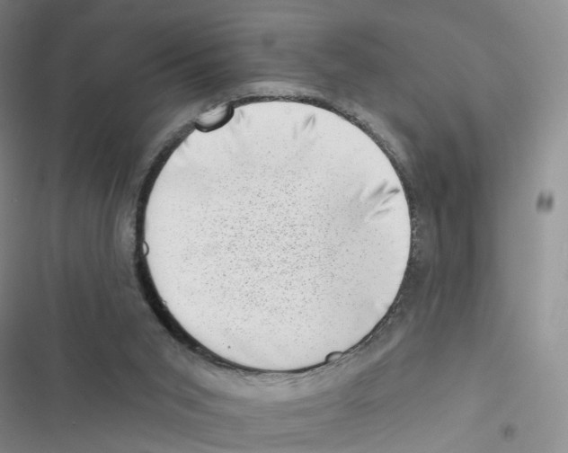 X0000116810015201001151153