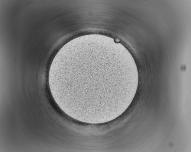 X0000116810016201001151153