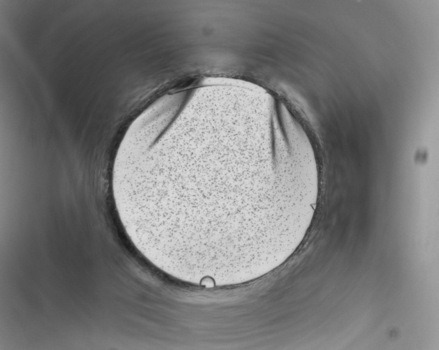 X0000116810017201001151153