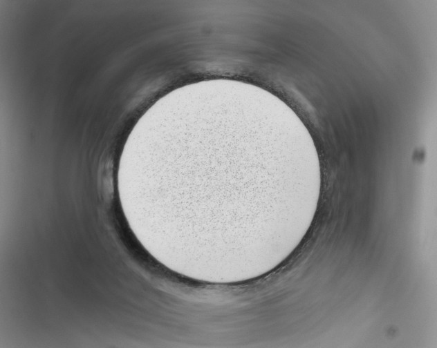 X0000116810020201001151153