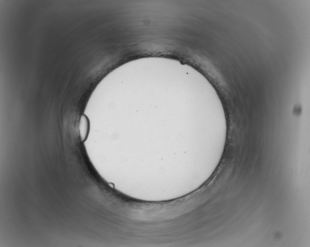 X0000116810021201001151153