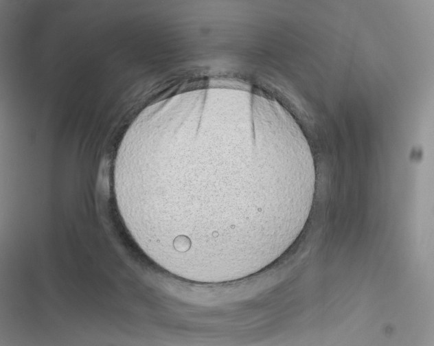 X0000116810022201001151153