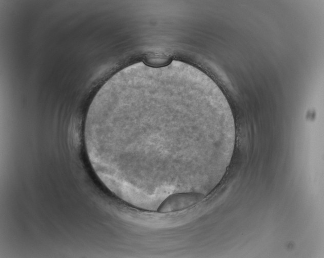 X0000116810023201001151153