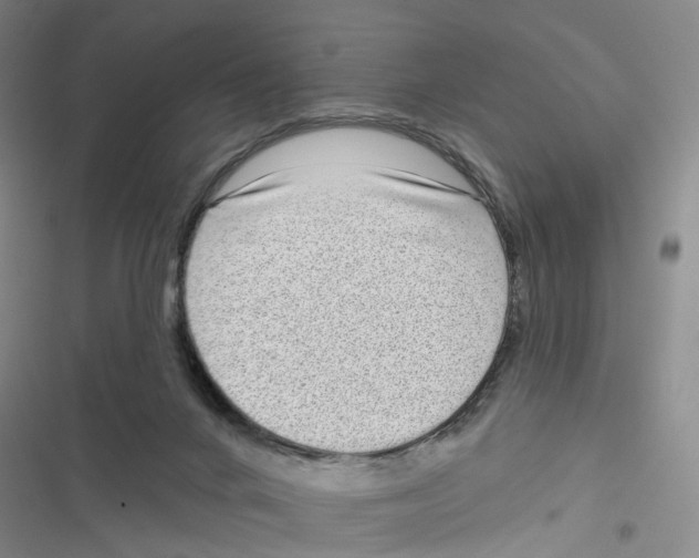 X0000116810024201001151153