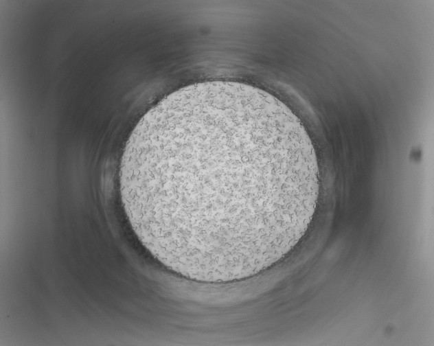 X0000116810026201001151153