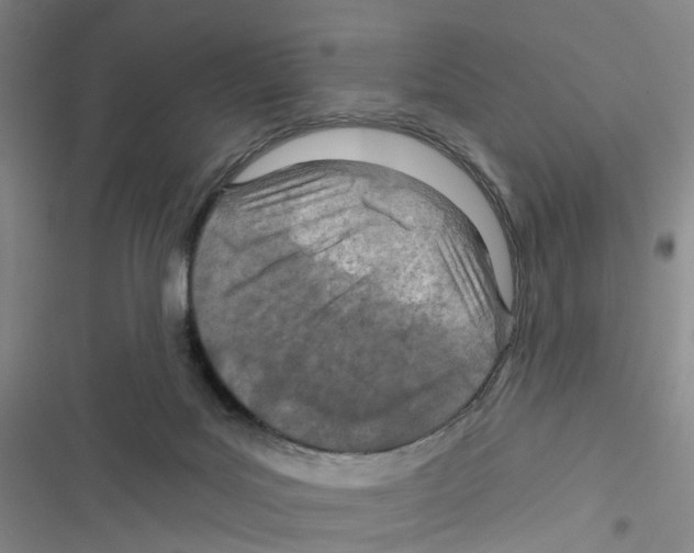 X0000116810027201001151153