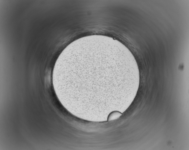 X0000116810028201001151153