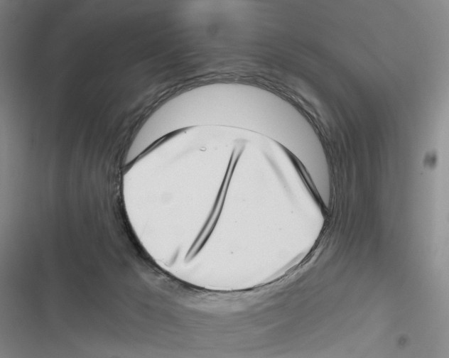 X0000116810029201001151153