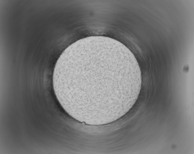 X0000116810030201001151153