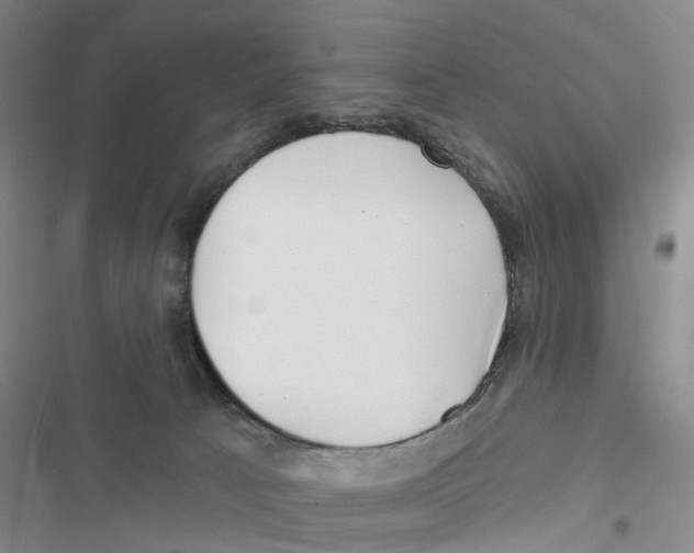 X0000116810033201001151153