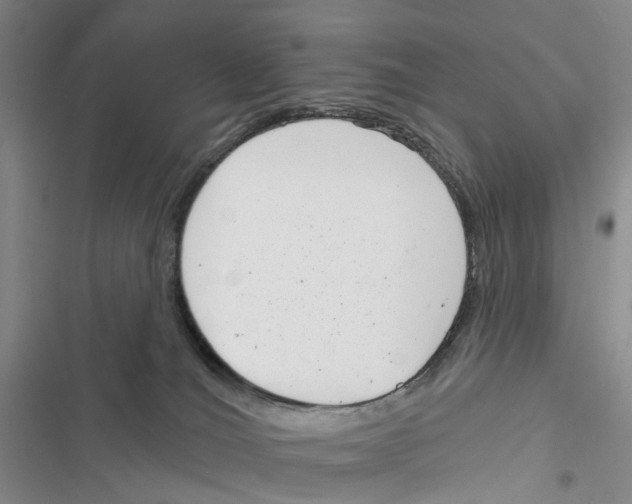 X0000116810036201001151153