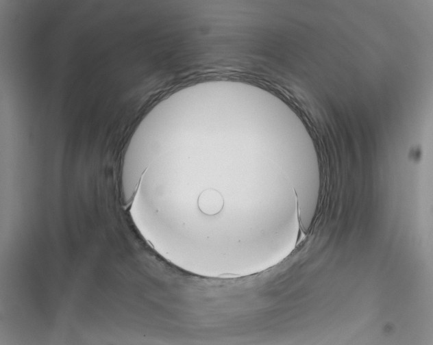 X0000116810037201001151153