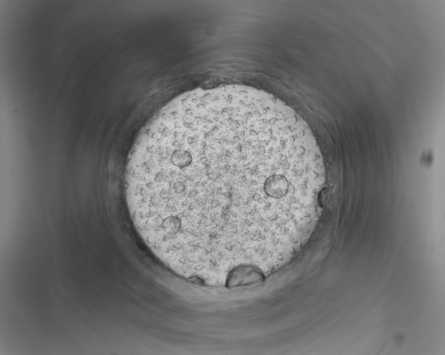 X0000116810038201001151153