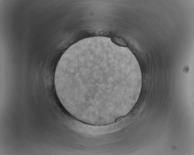 X0000116810039201001151153