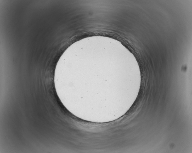 X0000116810040201001151153