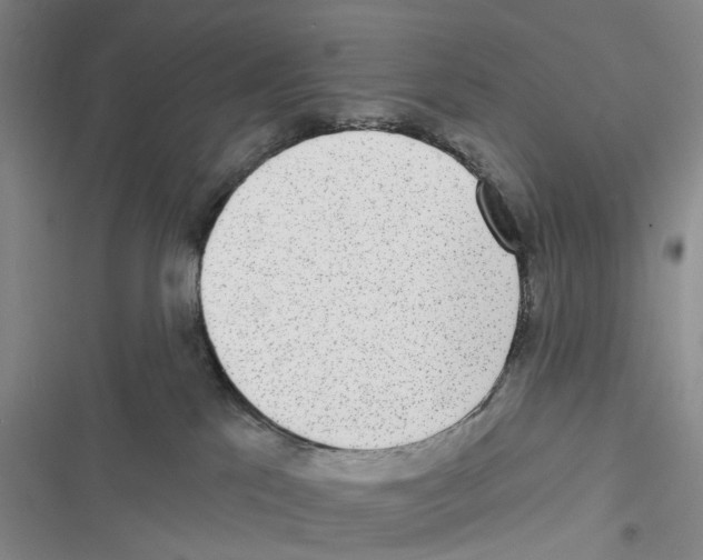X0000116810041201001151153