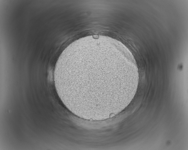 X0000116810042201001151153