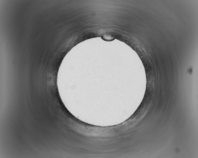 X0000116810044201001151153