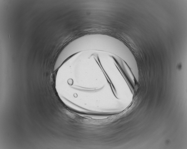 X0000116810045201001151153