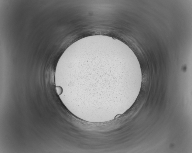X0000116810046201001151153
