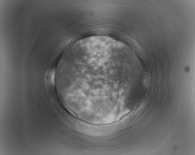 X0000116810047201001151153
