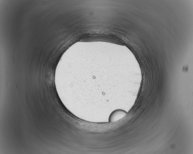 X0000116810048201001151153