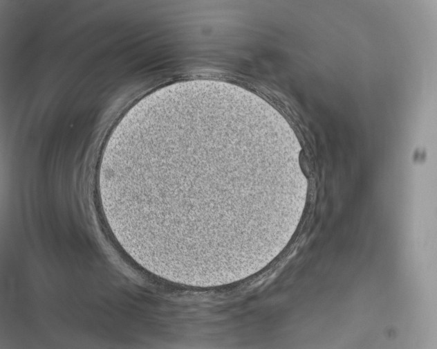 X0000116810049201001151152